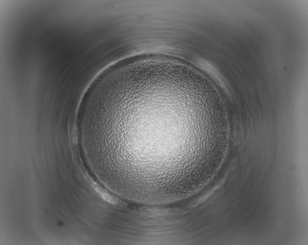X0000083070924200702091526