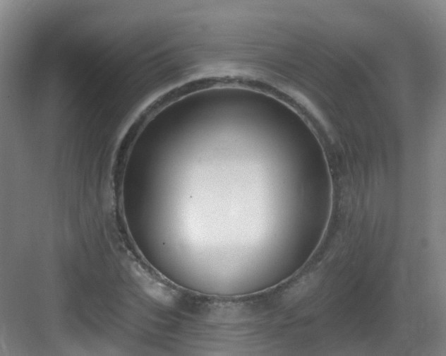X0000083070927200702091526