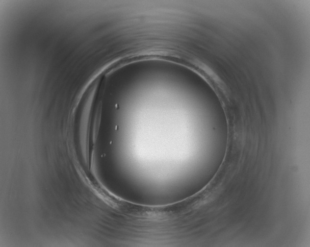 X0000083070933200702091526