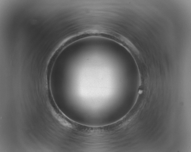 X0000083070934200702091526
