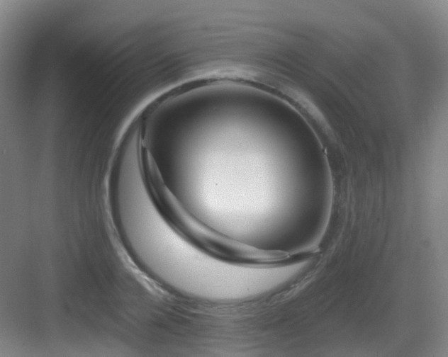 X0000083070936200702091526