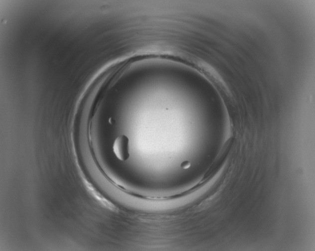 X0000083070942200702091527