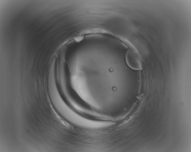 X0000083070945200702091527