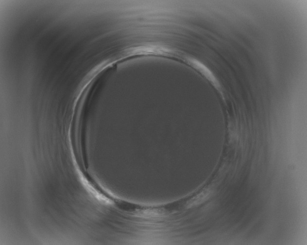 X0000083070946200702091527