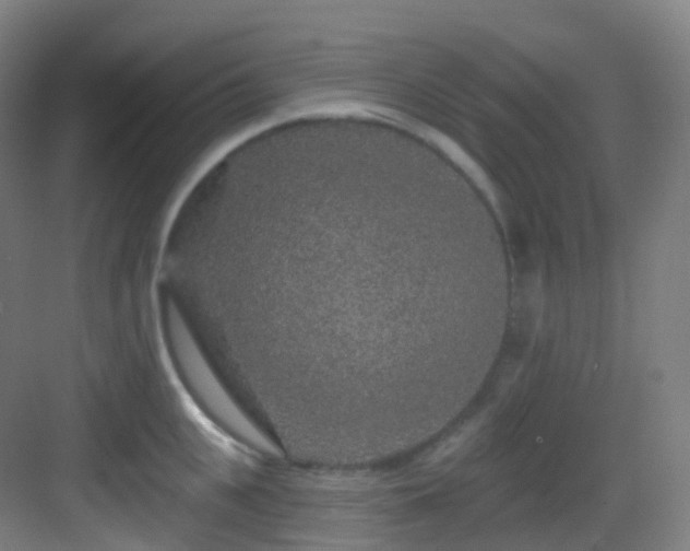 X0000083070951200702091527