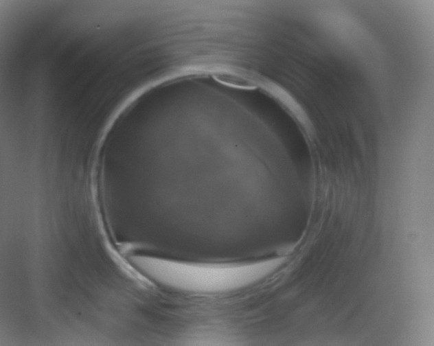 X0000083070958200702091527