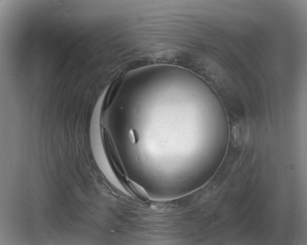 X0000083070963200702091526