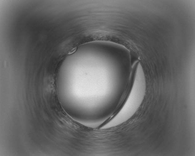 X0000083070964200702091526