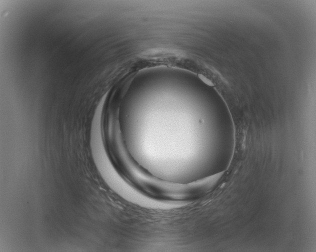 X0000083070965200702091526