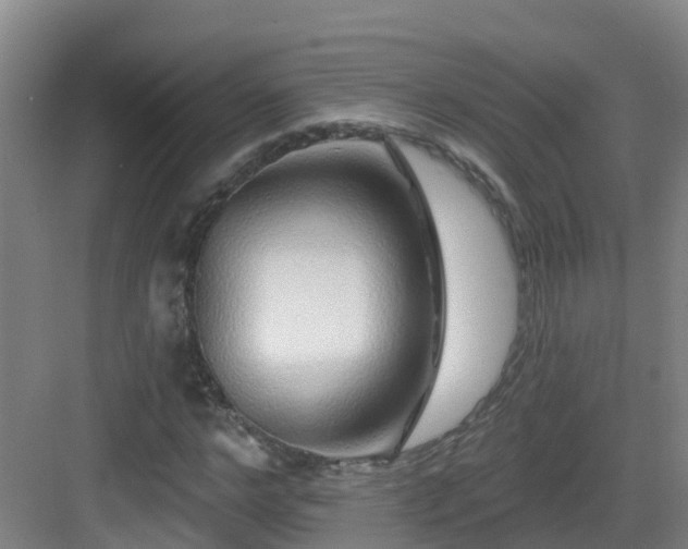 X0000083070968200702091526