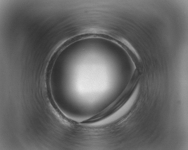 X0000083070972200702091526