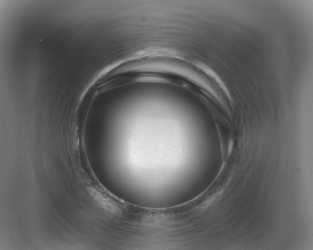 X0000083070973200702091526