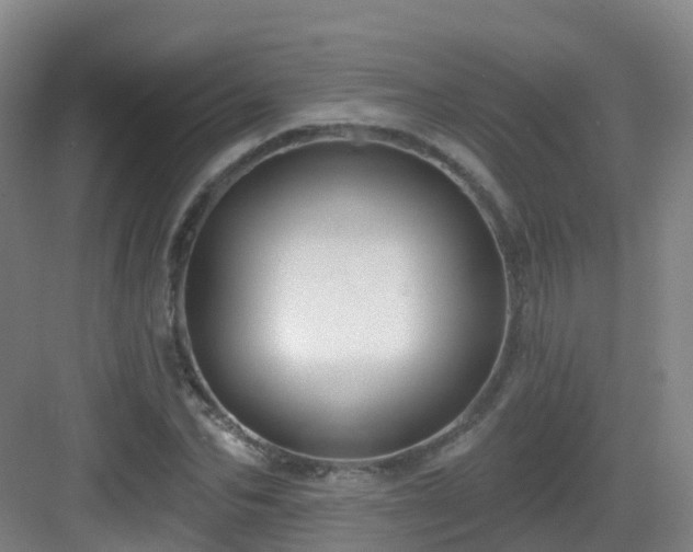 X0000083070974200702091526