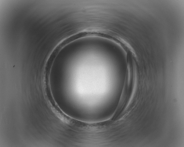 X0000083070976200702091526