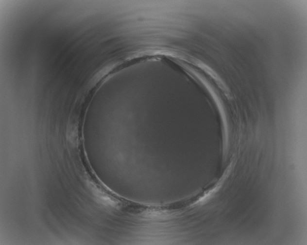 X0000083070977200702091526
