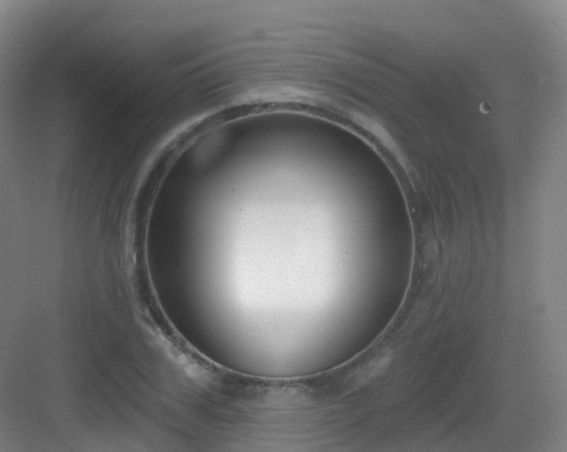 X0000083070979200702091526