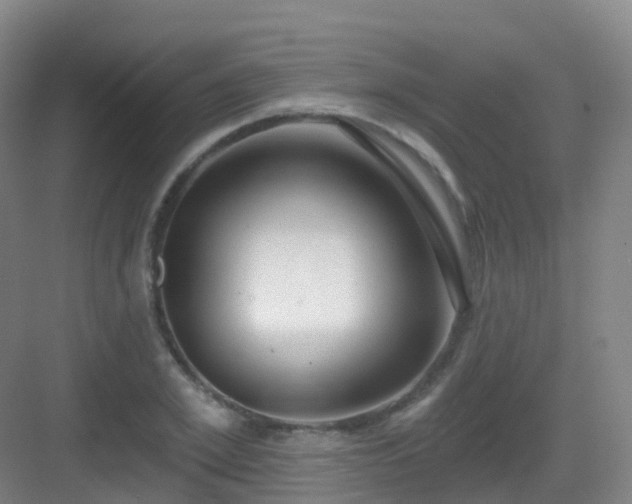 X0000083070981200702091526