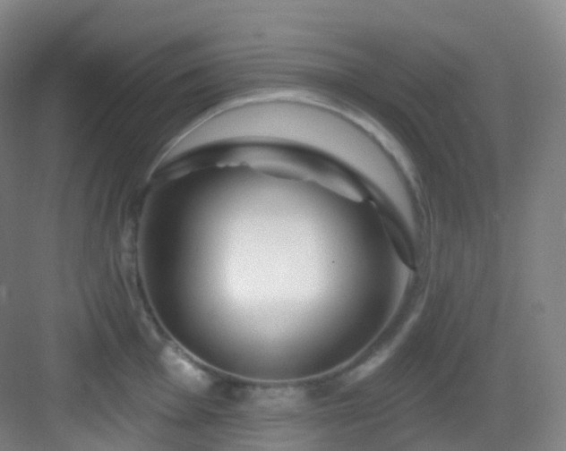 X0000083071001200702091525
