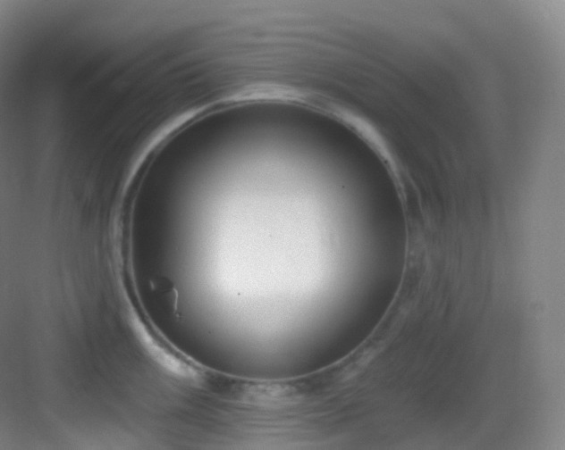 X0000083071003200702091525