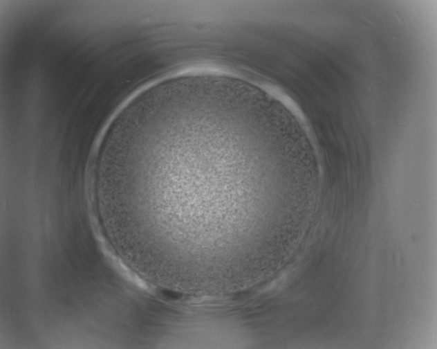 X0000083071008200702091525