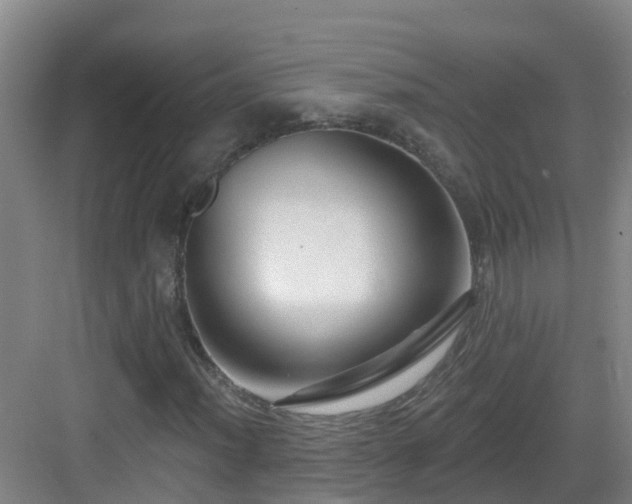 X0000083071012200702091525
