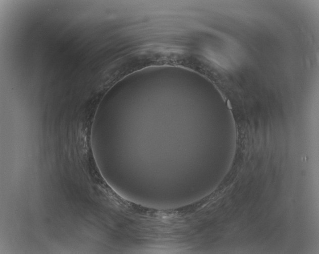 X0000083071013200702091525