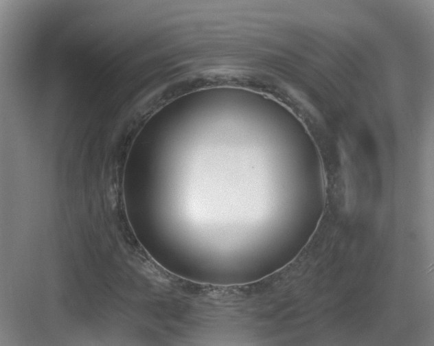 X0000083071015200702091525