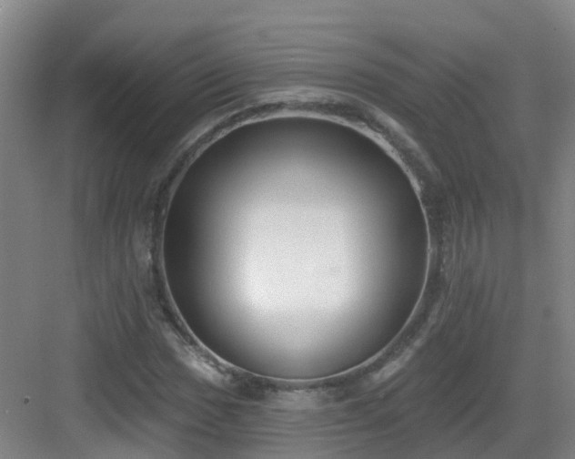 X0000083071017200702091525