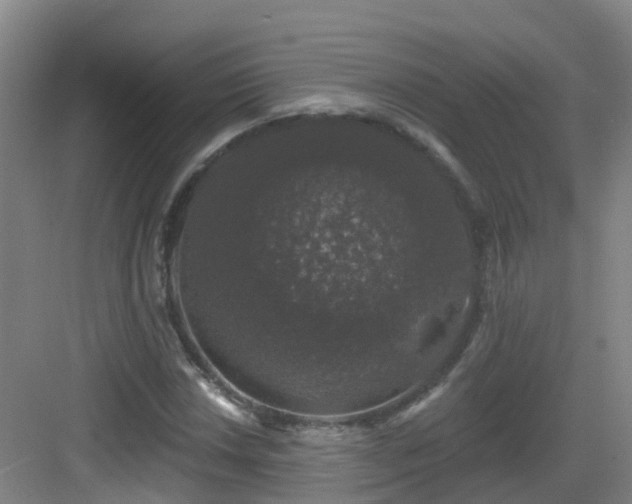 X0000083071018200702091525