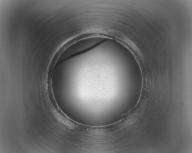 X0000083071020200702091525