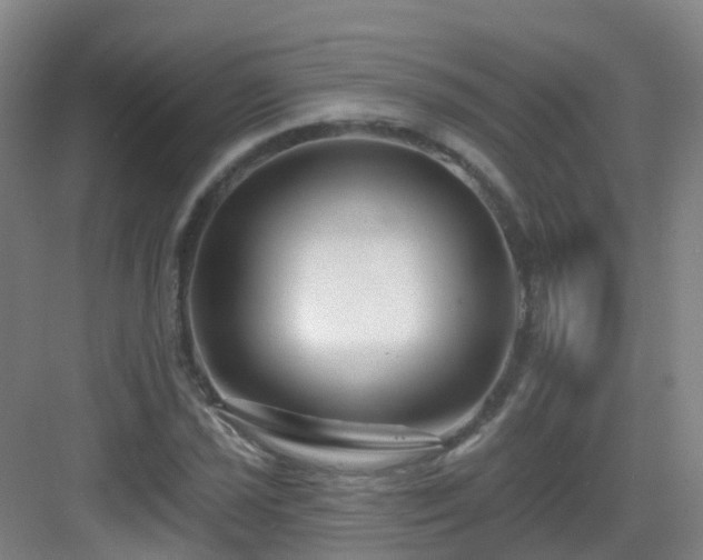 X0000083071021200702091525