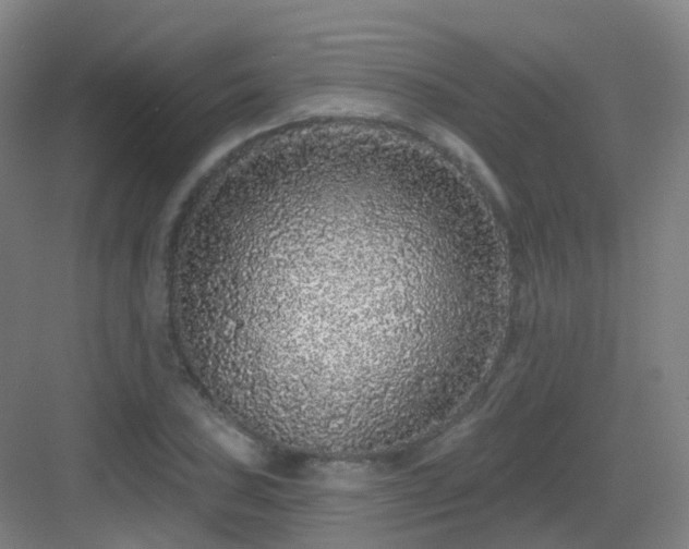 X0000083071027200702091525
