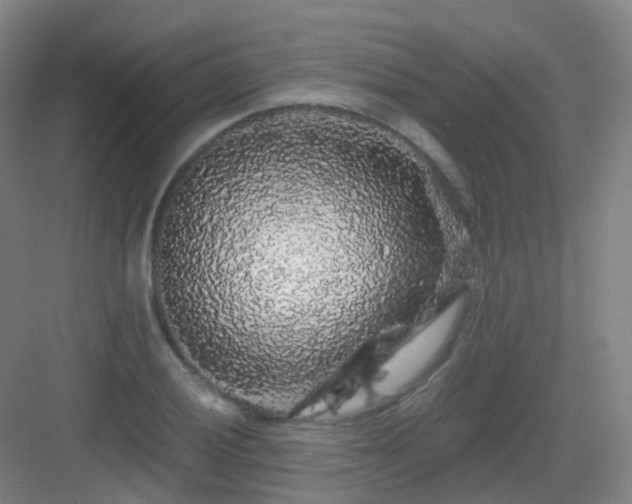 X0000083071028200702091525