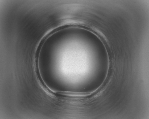 X0000083071029200702091525