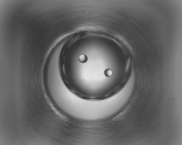 X0000083071030200702091525