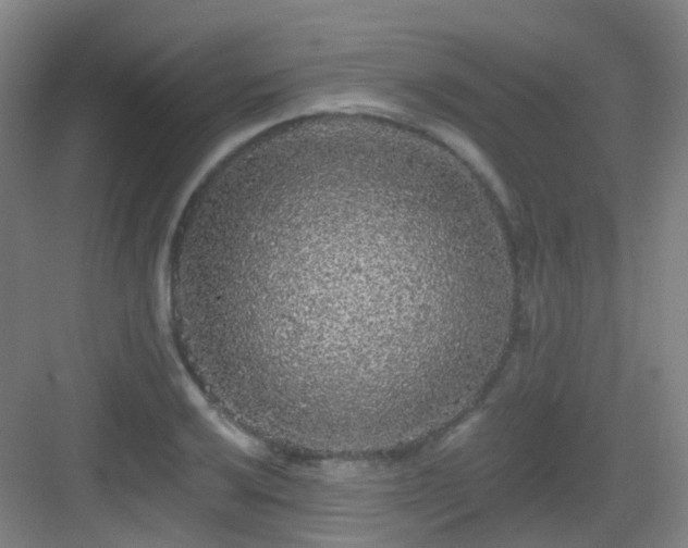 X0000083071032200702091525