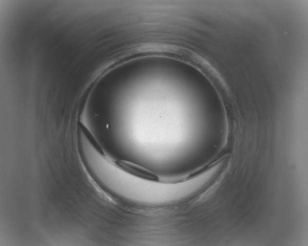 X0000083071033200702091525