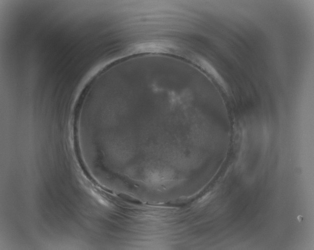 X0000083071035200702091525