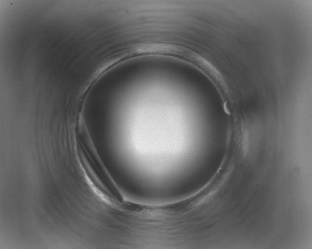 X0000083071041200702091525