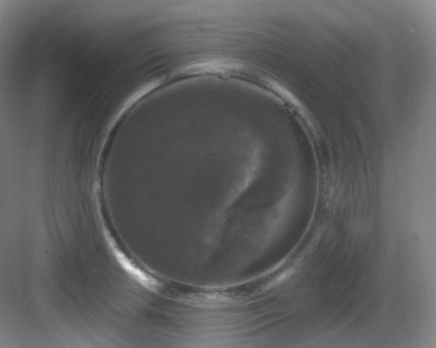X0000083071042200702091525