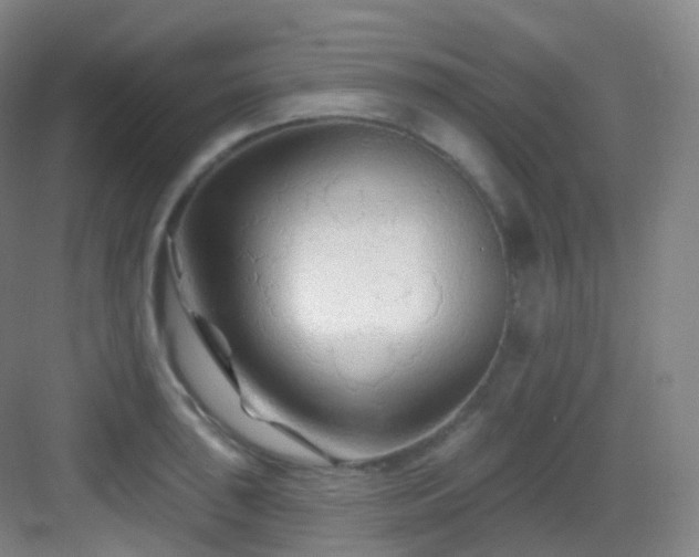 X0000083071043200702091525