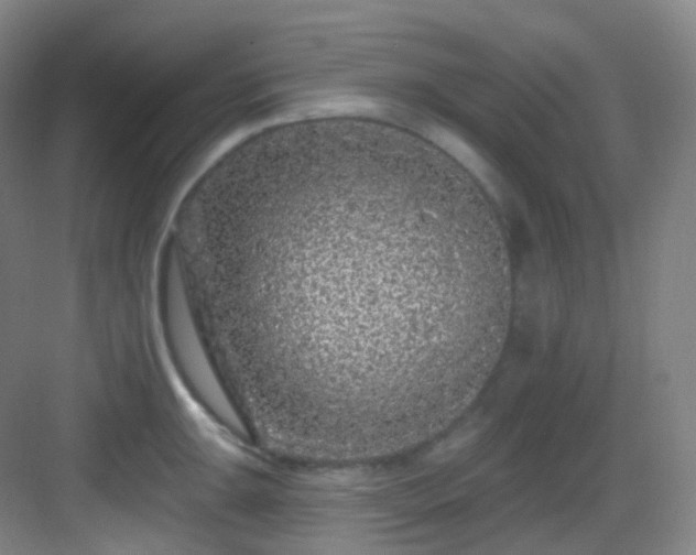 X0000083071047200702091525