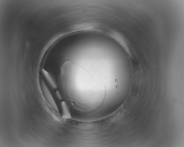 X0000083071051200702091525