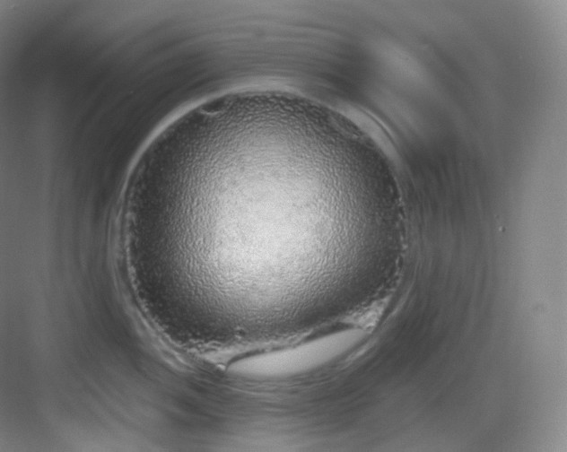 X0000083071052200702091525