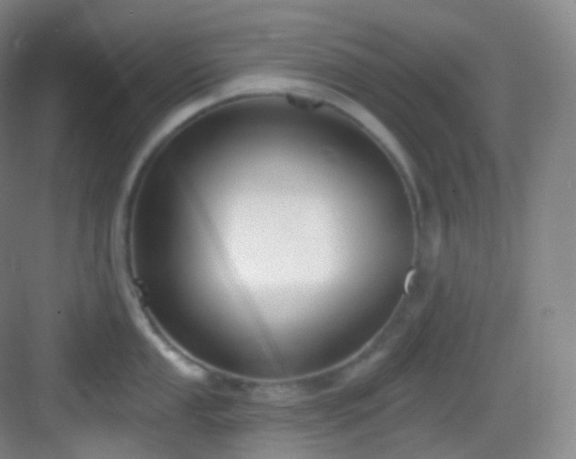 X0000083071053200702091525