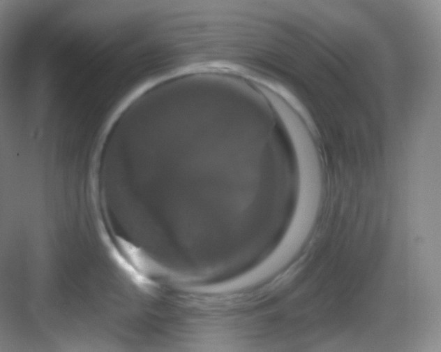 X0000083071054200702091525