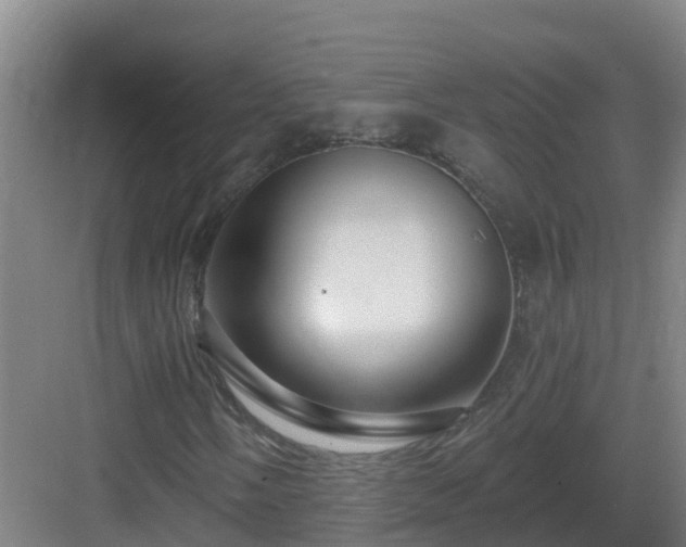 X0000083071058200702091524