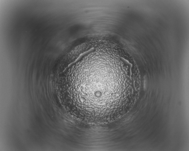 X0000083071059200702091524