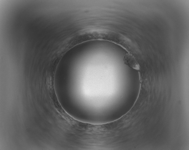 X0000083071061200702091524