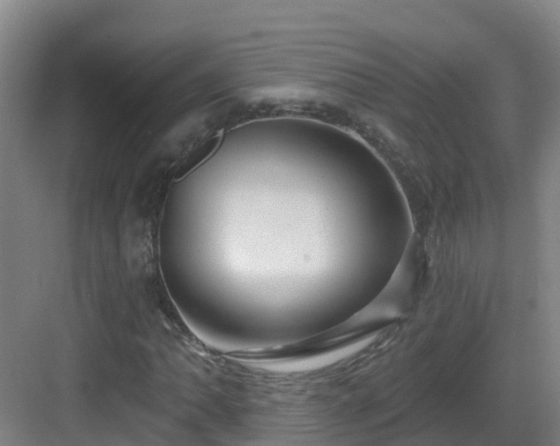 X0000083071062200702091524